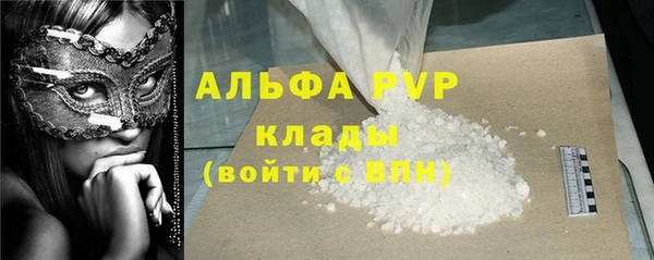 стаф Абинск