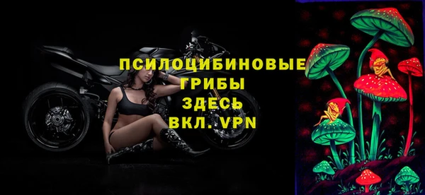 сатива Весьегонск