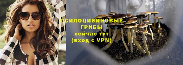 первитин Саяногорск