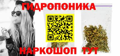 apvp Новодвинск