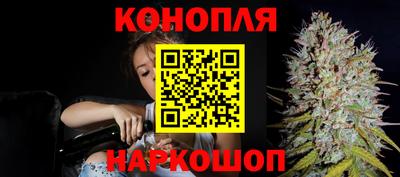 винт Новозыбков