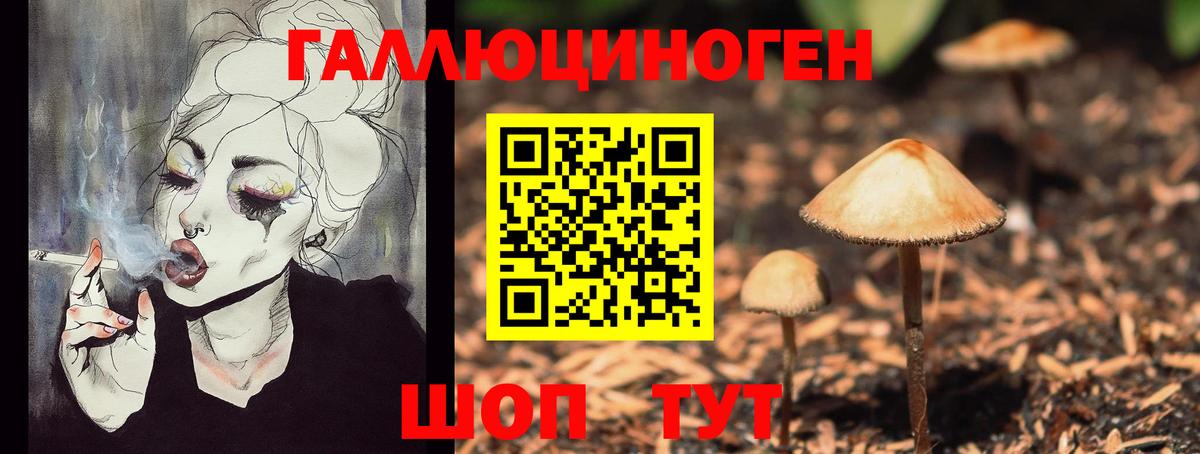 Галлюциногенные грибы GOLDEN TEACHER  Вход с VPN  Тольятти 