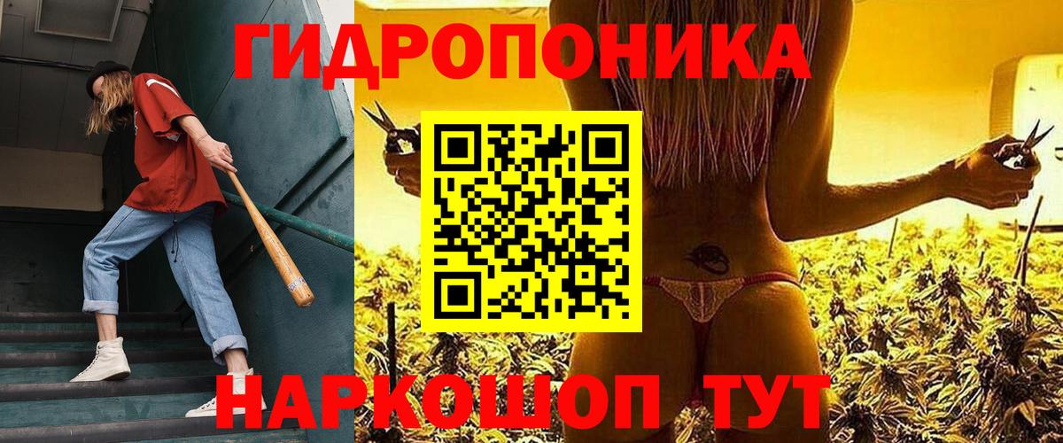 Бошки Шишки семена Тольятти